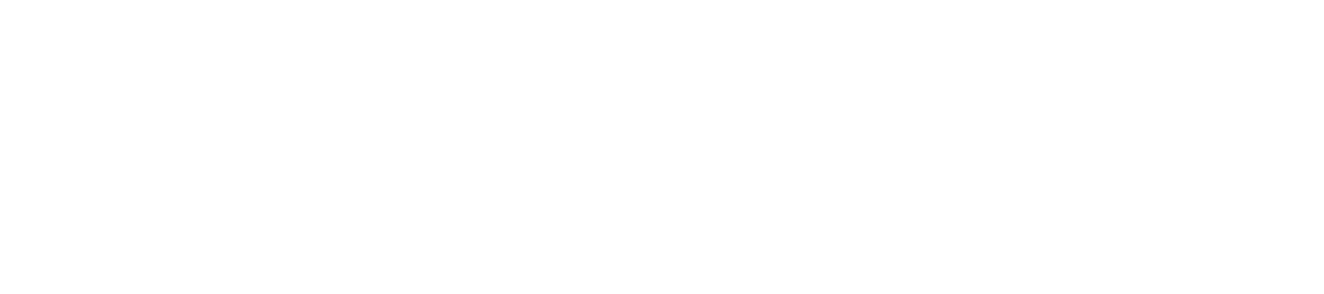 FV logo wit